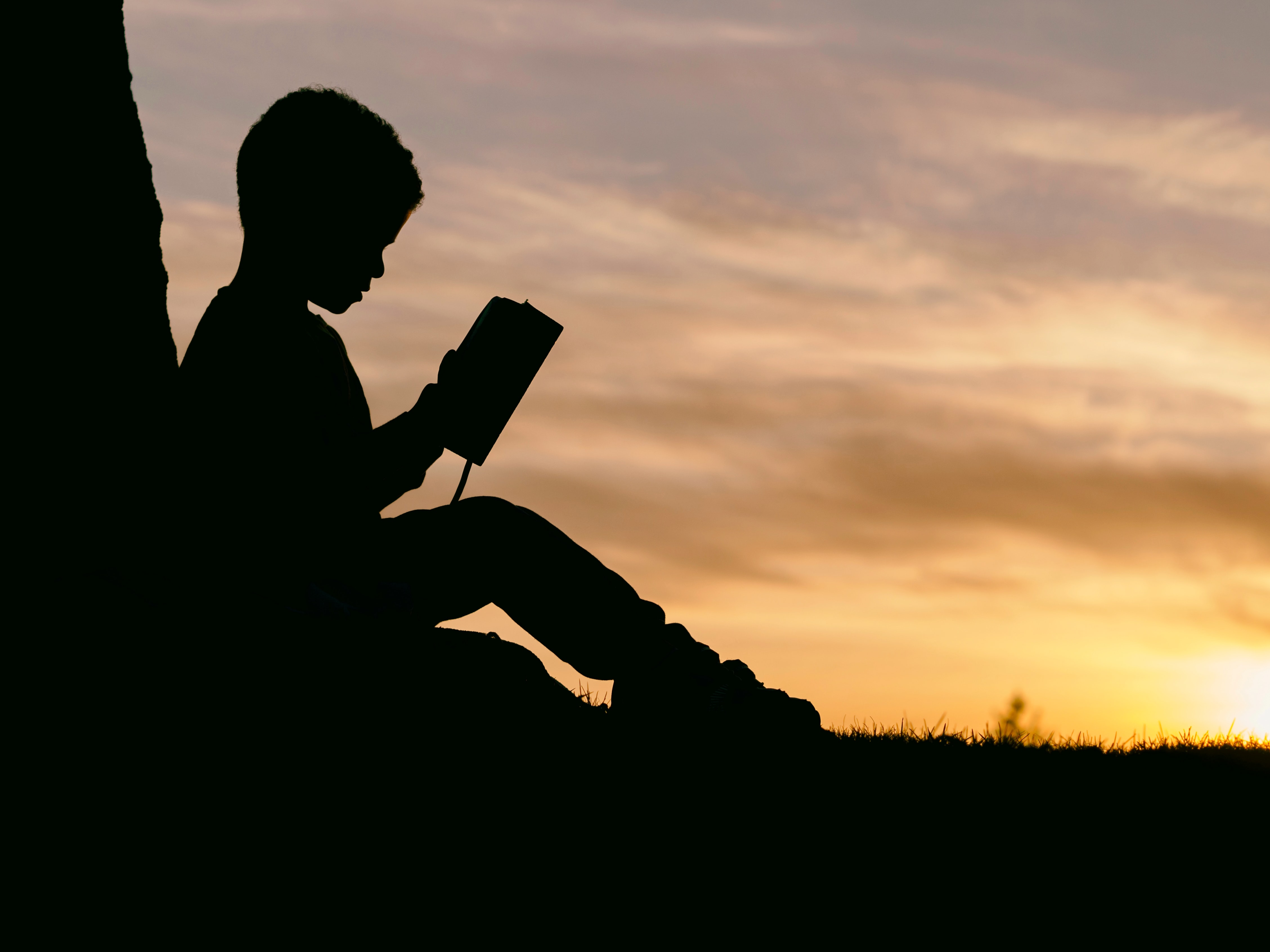 Young boy reading outdoors
